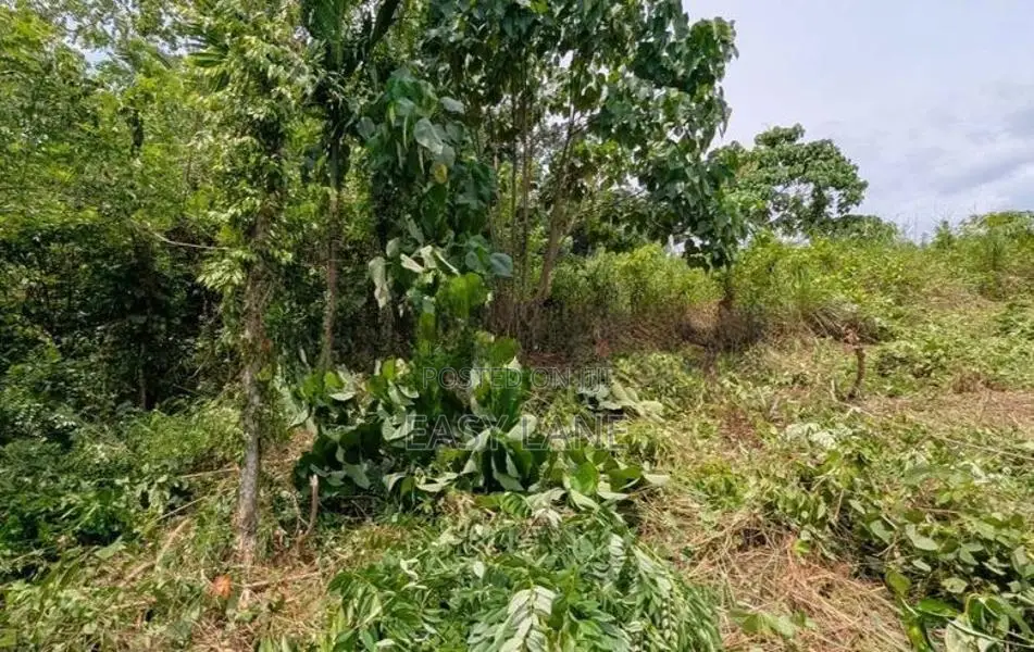 නිට්ටඹුව උෘරපොල අවටින් බිම් කොටස්