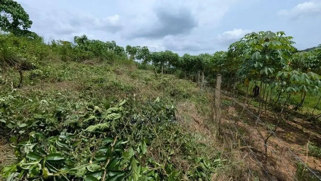 නිට්ටඹුව උෘරපොල අවටින් බිම් කොටස්