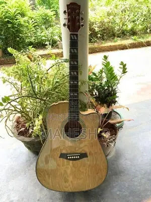 Calao Accoustic Box guitar