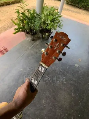 Calao Accoustic Box guitar