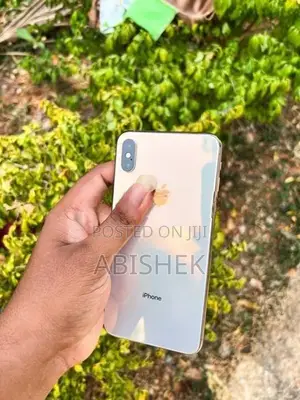 Apple iPhone XS Max 256GB (Used)