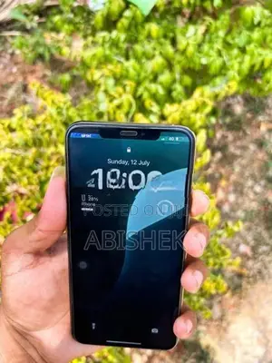 Apple iPhone XS Max 256GB (Used)