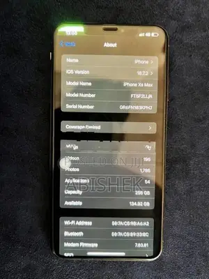 Apple iPhone XS Max 256GB (Used)