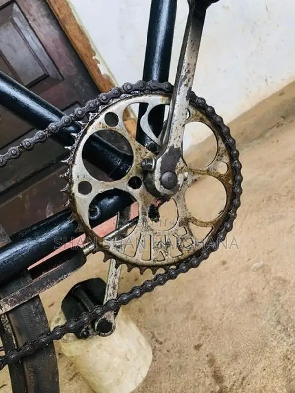 Bicycles RMI