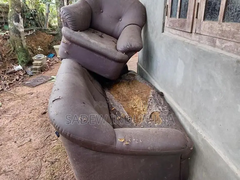 damro sofa