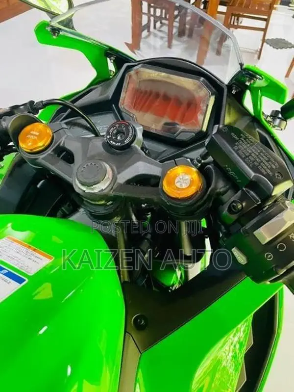 Kawasaki Ninja 250 2026