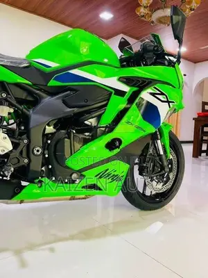 Kawasaki Ninja 250 2026