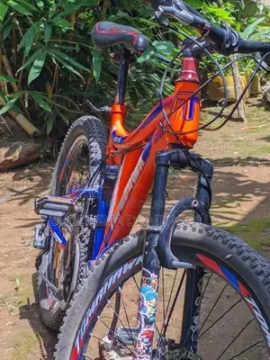 Cheese quality bicycle