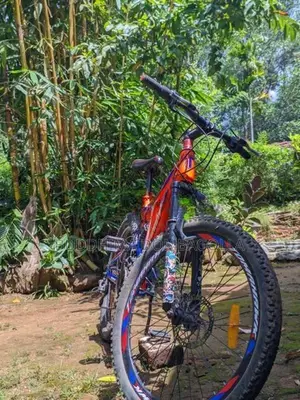 Cheese quality bicycle