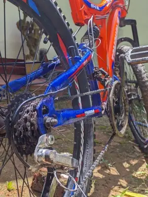 Cheese quality bicycle