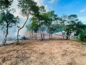 talalla / Dickwella Beach Side Land Sale