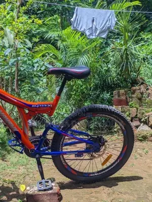 Cheese quality bicycle