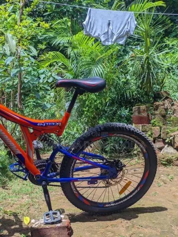 Cheese quality bicycle
