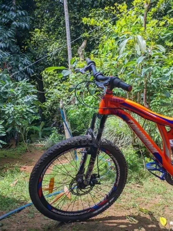Cheese quality bicycle