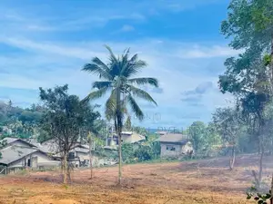 talalla / Dickwella Beach Side Land Sale