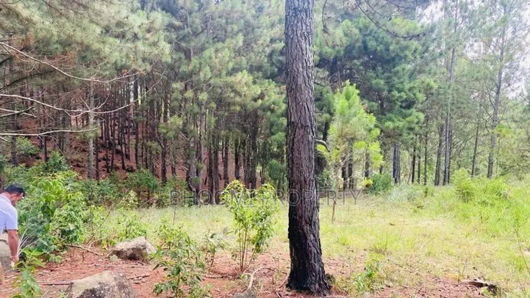 Land for Sale Ella