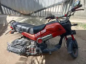 Honda Navi super 2017