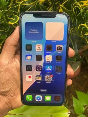Apple iPhone 12 Pro Max 256gb (Used)
