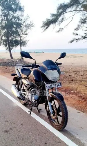 Hero Passion Plus 2009
