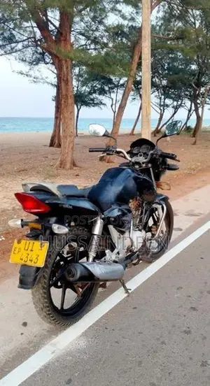 Hero Passion Plus 2009