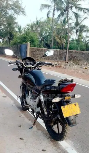Hero Passion Plus 2009