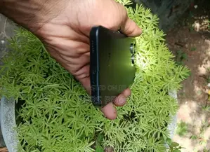 Hotwav Note 15 (Used)