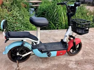 Electric Bike 2024