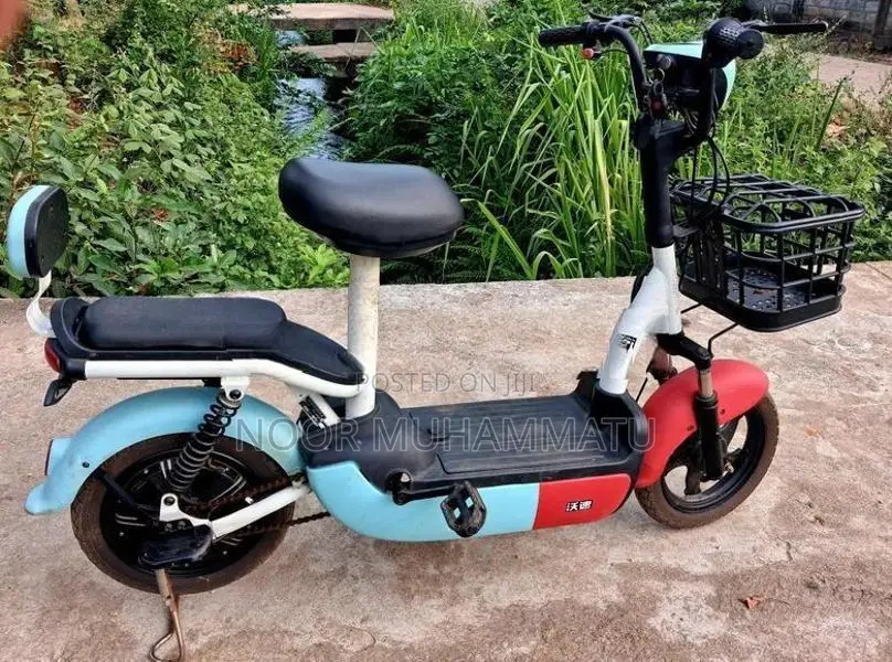 Electric Bike 2024