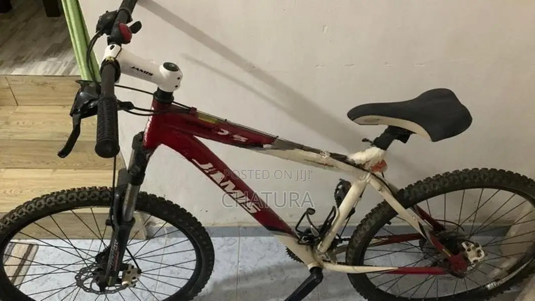 Imported bicycle