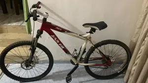 Imported bicycle