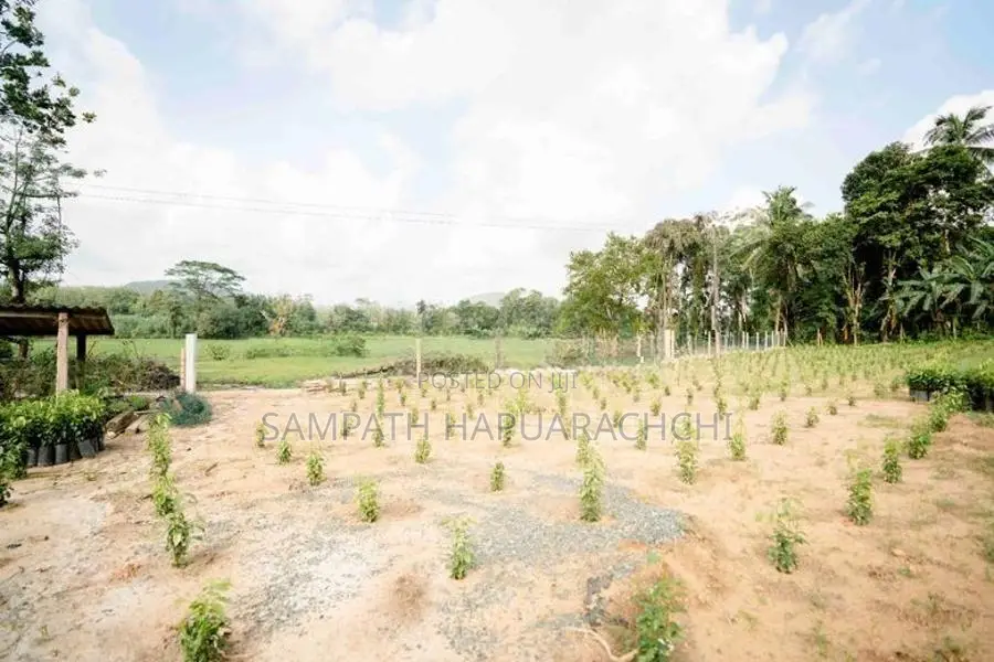 Land for Sale in Pitigala Galle