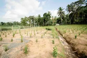 Land for Sale in Pitigala Galle