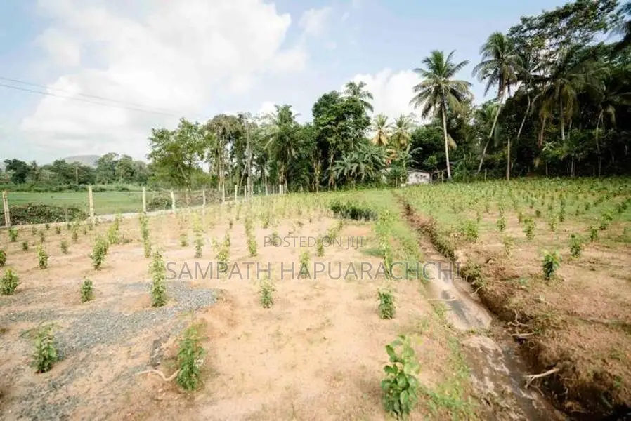 Land for Sale in Pitigala Galle