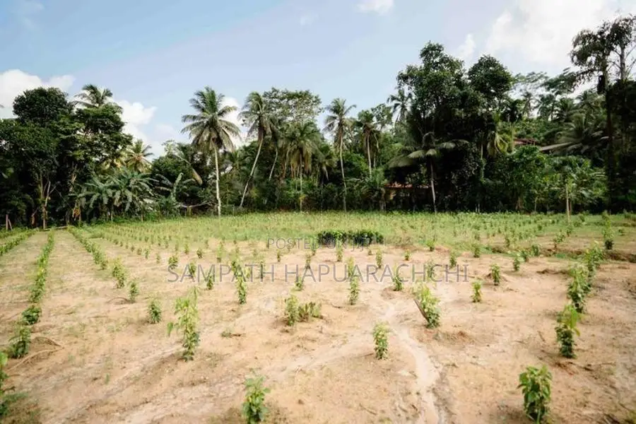 Land for Sale in Pitigala Galle