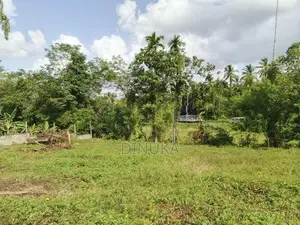 Land for Sale Dompe