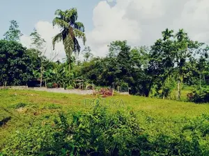 Land for Sale Dompe