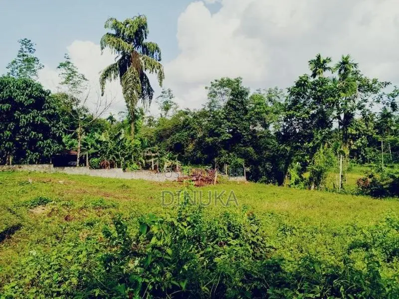 Land for Sale Dompe