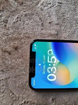 Apple iPhone X (Used)