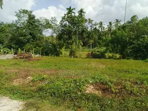 Land for Sale Dompe