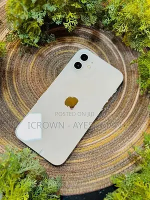 Apple iPhone 12 128GB (Used)