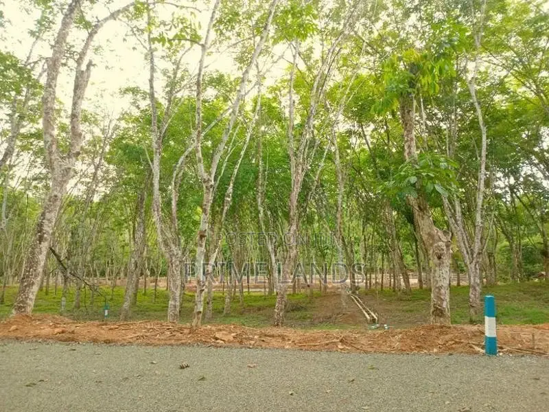 අහංගම සංචාරක කලාපයට ආසන්නව