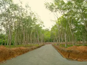 අහංගම සංචාරක කලාපයට ආසන්නව