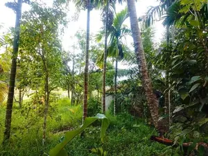 20 Perches Land Sale @Pilimathalawa
