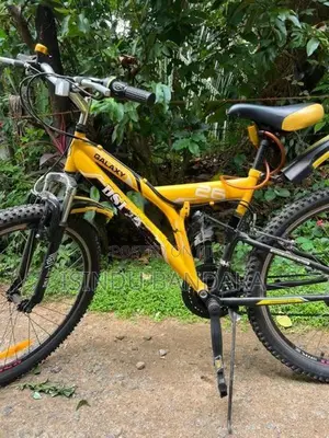 Bicycle Dsi