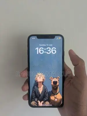 Apple iPhone X 256GB (Used)