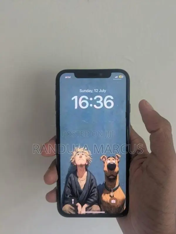 Apple iPhone X 256GB (Used)