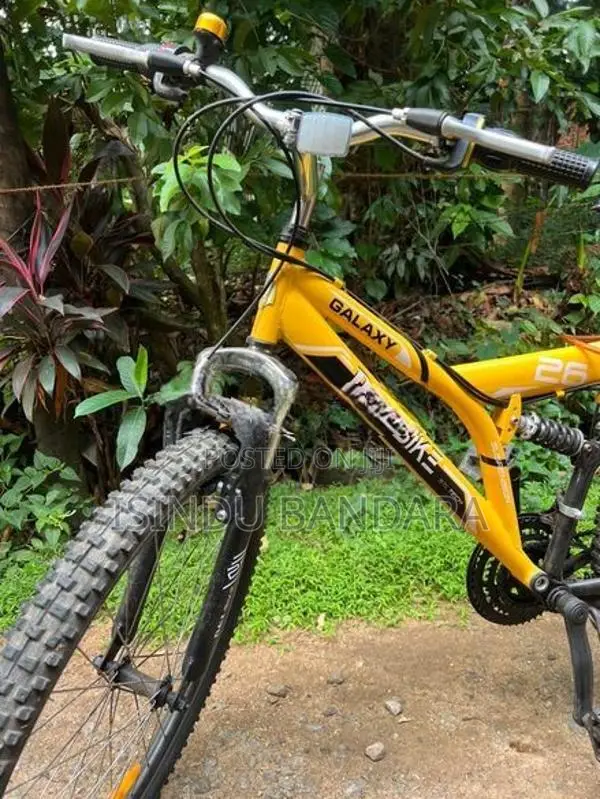 Bicycle Dsi