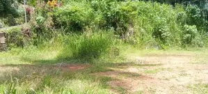 Horana බිම් කොටස් විකිණීමට