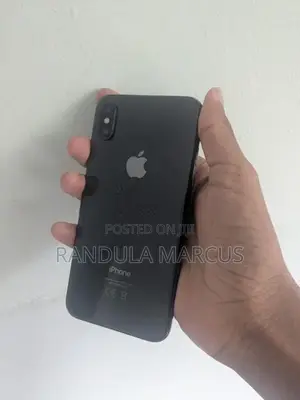 Apple iPhone X 256GB (Used)