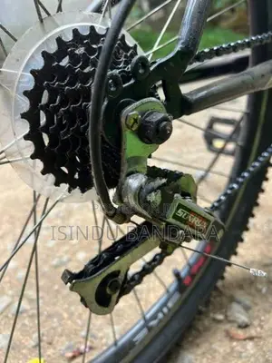 Bicycle Dsi
